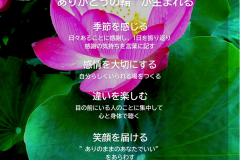 MY COMPASS_20