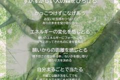 MY COMPASS_37