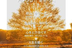 MY COMPASS_26