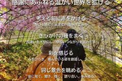 MY COMPASS_39
