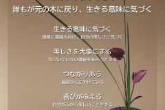 MY COMPASS_49