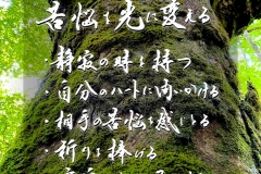 MY COMPASS_7
