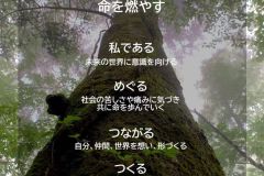 MY COMPASS_3