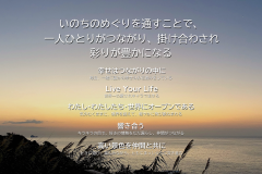MY COMPASS_33