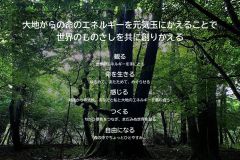 MY COMPASS_14