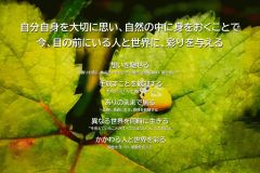 MY COMPASS_43
